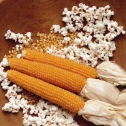 kalampoki-pop-corn